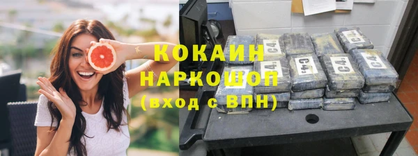 индика Бородино