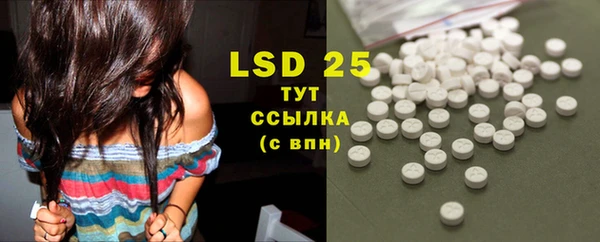 индика Бородино