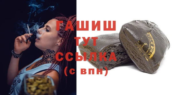 индика Бородино