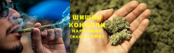 индика Бородино