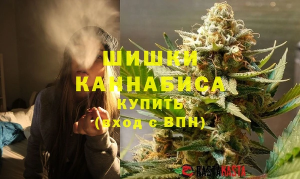 индика Бородино