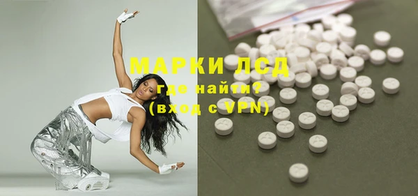 индика Бородино