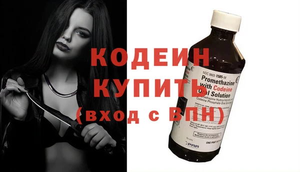 индика Бородино