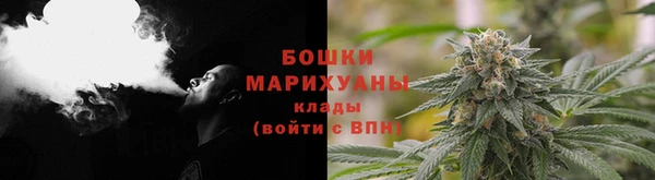 дживик Бронницы