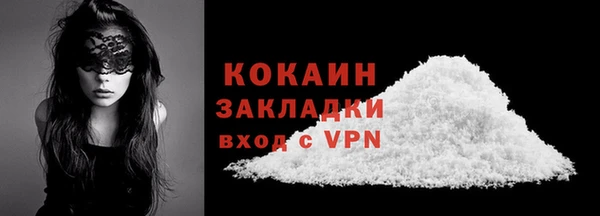 индика Бородино
