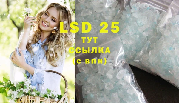 индика Бородино