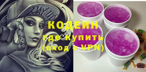 индика Бородино
