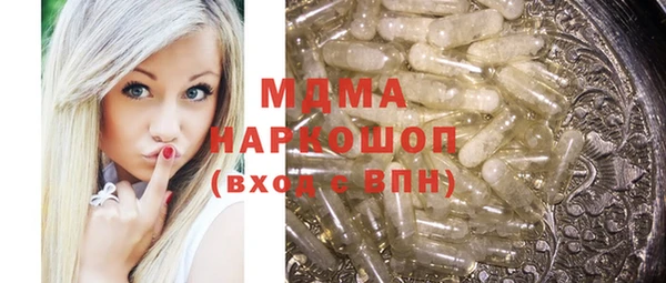 индика Бородино