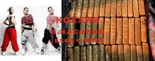 индика Бородино