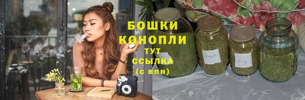 дживик Бронницы