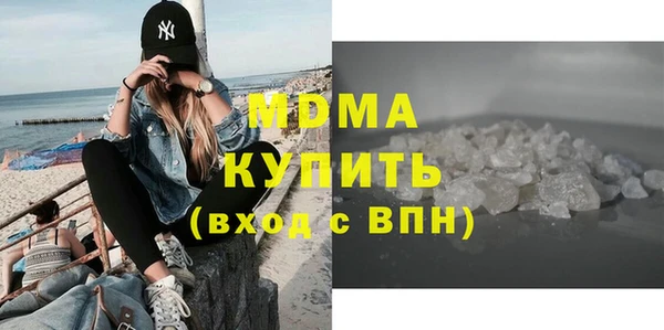 индика Бородино