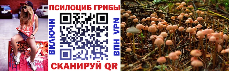 Псилоцибиновые грибы GOLDEN TEACHER  Армавир 