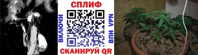 МАРИХУАНА сатива  Армавир 